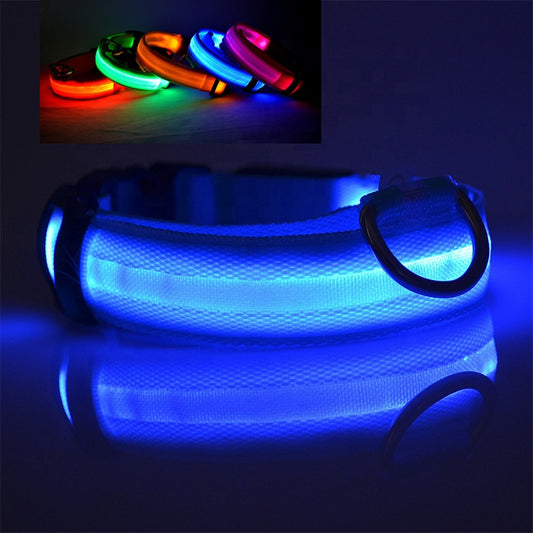 Illumiseen LED Light Up Dog Collar - Bright & High Visibility Lighted Glow Collar for Pet Night Walking – USB Rechargeable